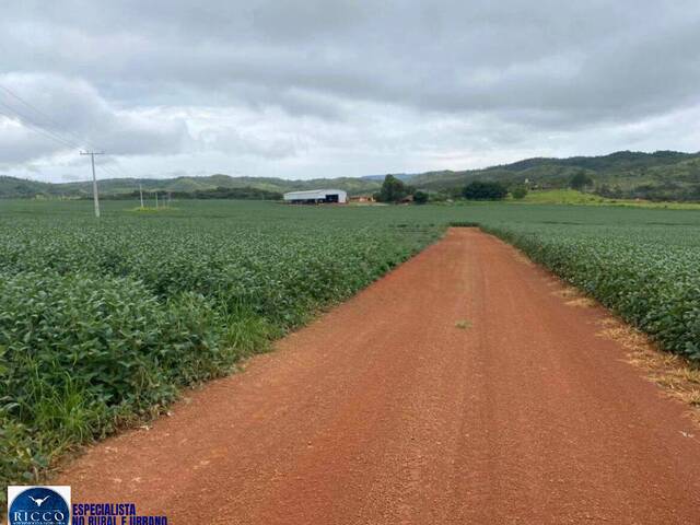 Fazenda para Venda em Planaltina - 2