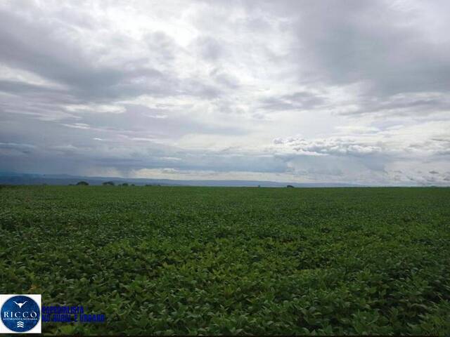 Fazenda para Venda em Planaltina - 5