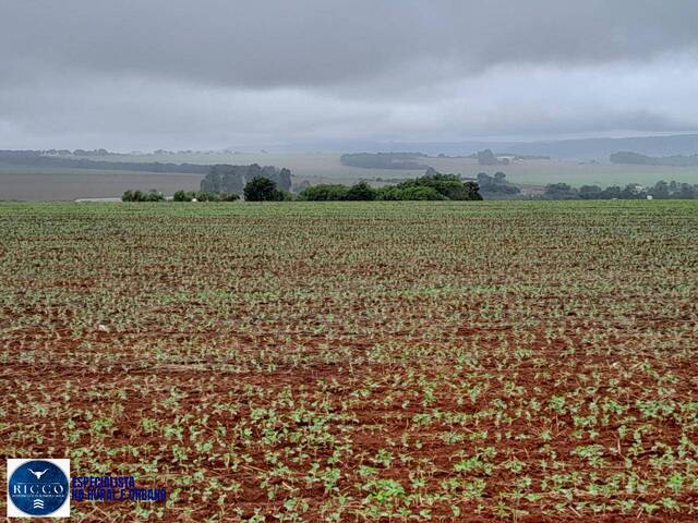 Fazenda para Venda em Água Fria de Goiás - 2