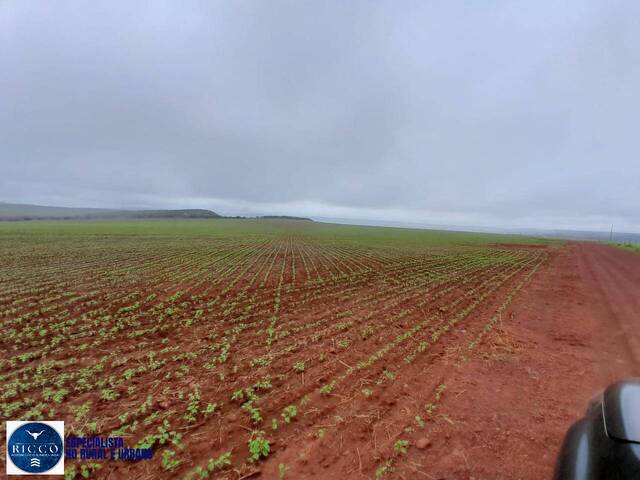 Fazenda para Venda em Água Fria de Goiás - 3