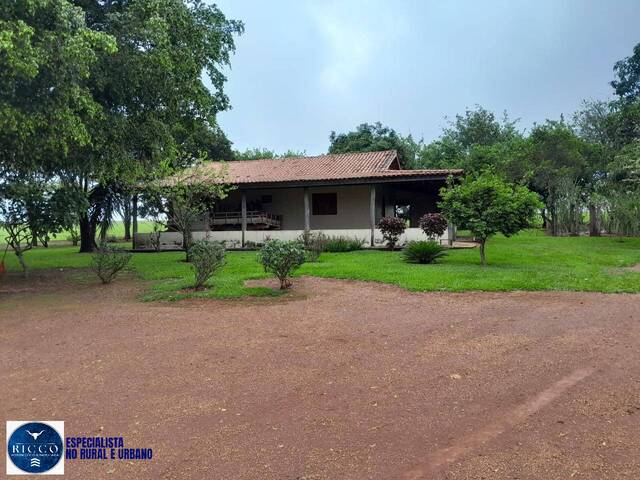 Fazenda para Venda em Água Fria de Goiás - 4