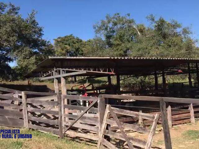 Fazenda para Venda em Silvânia - 3