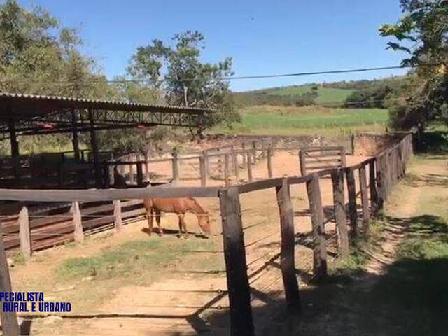Fazenda para Venda em Silvânia - 4