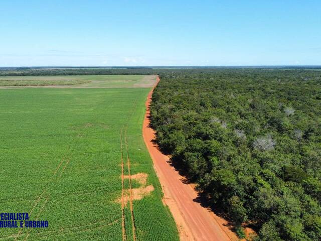 Fazenda para Venda em Lagoa da Confusão - 3