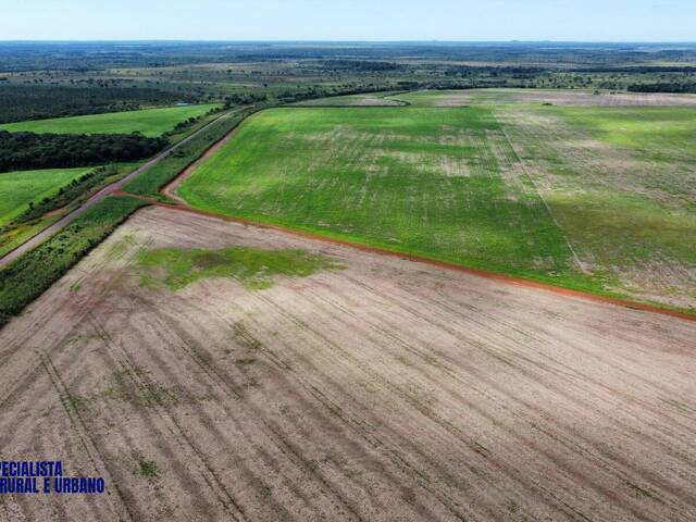 Fazenda para Venda em Lagoa da Confusão - 2