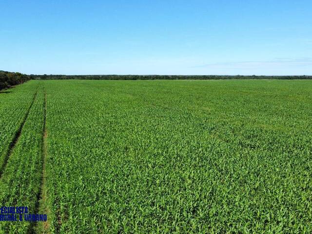 Fazenda para Venda em Lagoa da Confusão - 5