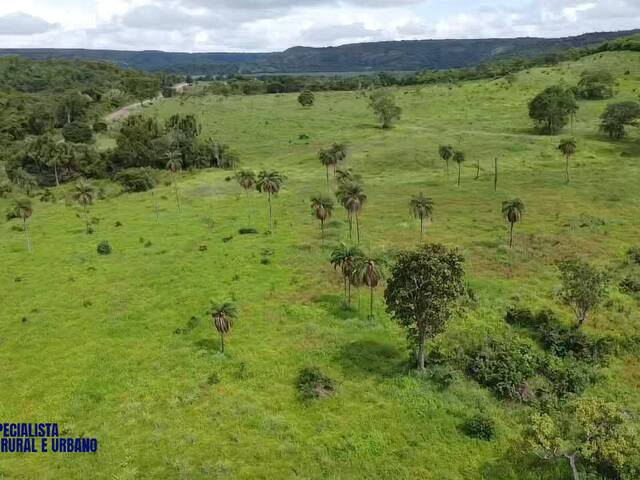 Fazenda para Venda em Porto Nacional - 2