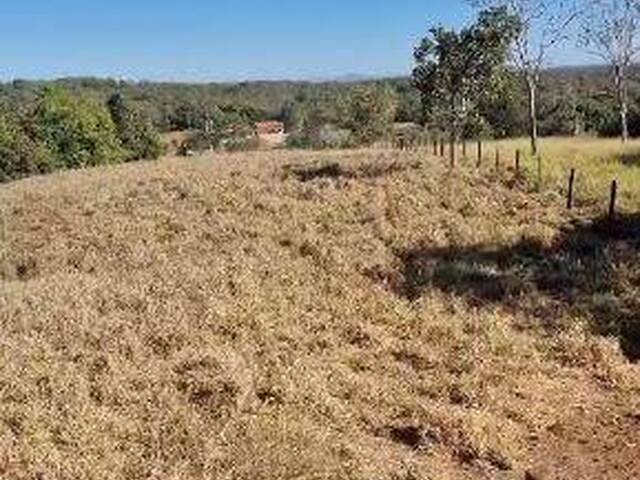 Fazenda para Venda em Barro Alto - 5