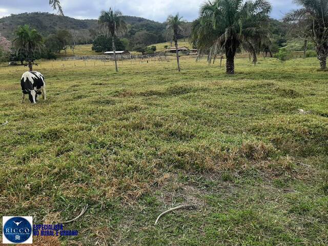 Fazenda para Venda em Jaraguá - 2