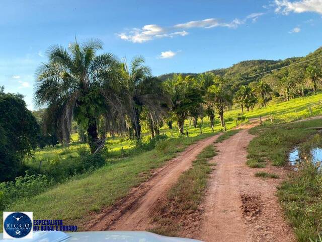 Fazenda para Venda em Jaraguá - 4