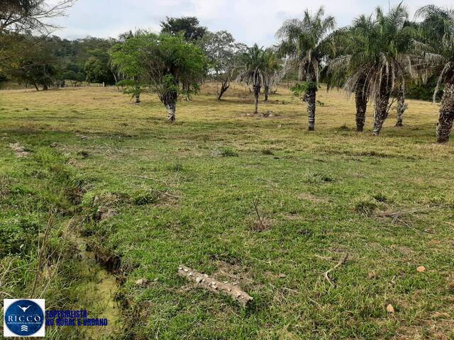 Fazenda para Venda em Jaraguá - 5