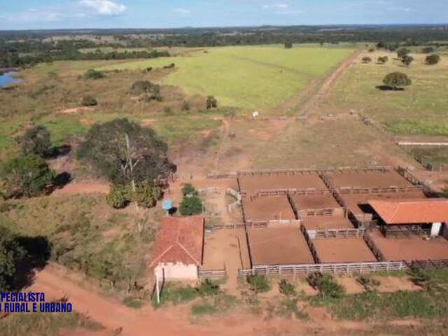 Fazenda para Venda em Araguaçu - 3