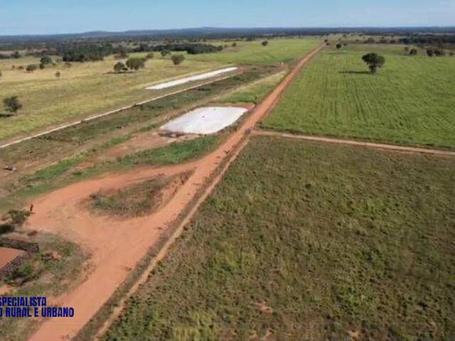 Fazenda para Venda em Araguaçu - 4