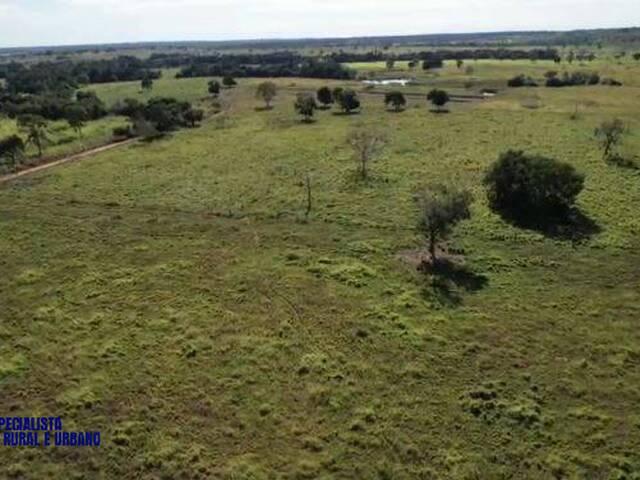 Fazenda para Venda em Araguaçu - 5