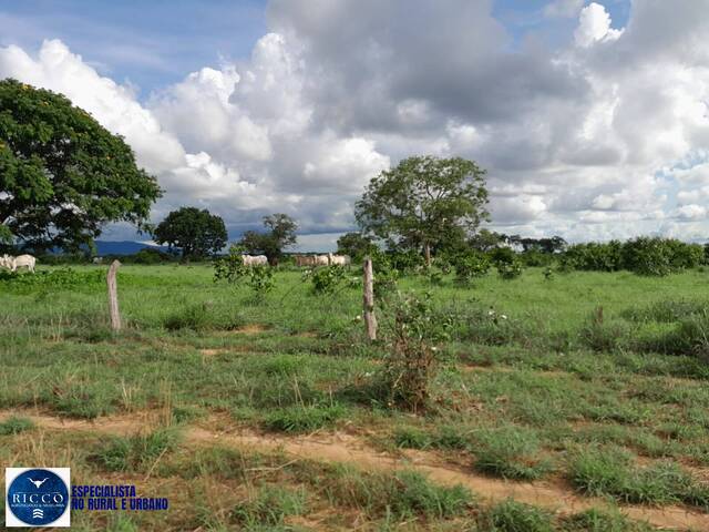 Fazenda para Venda em Araguaçu - 2