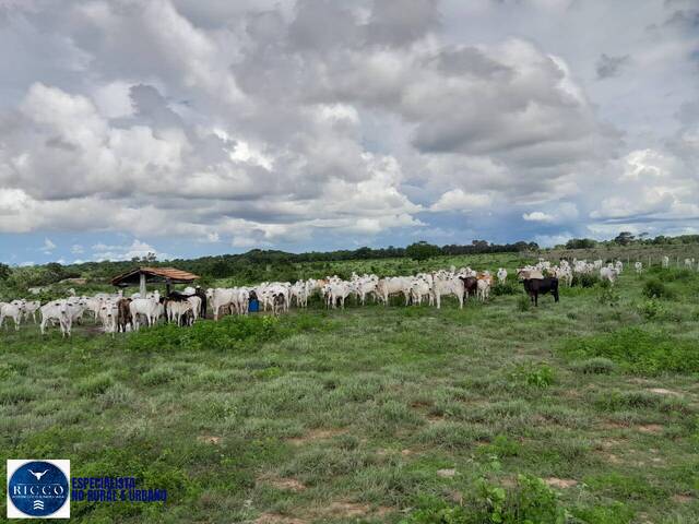 Fazenda para Venda em Araguaçu - 3