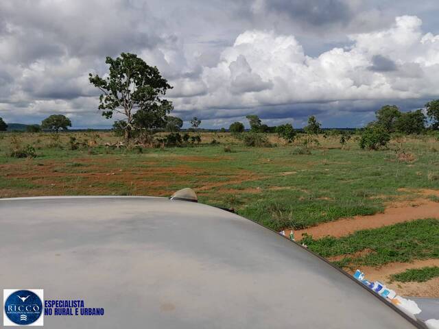 Fazenda para Venda em Araguaçu - 5