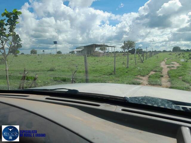 Fazenda para Venda em Araguaçu - 4