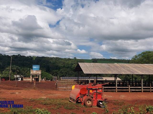 Chácara para Venda em Anápolis - 4