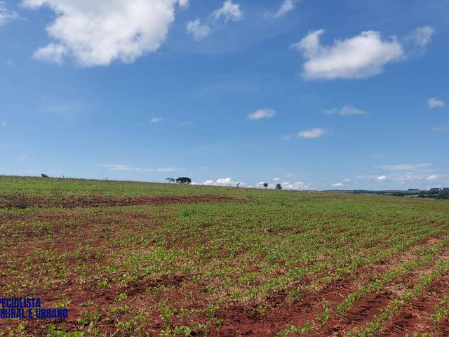 Chácara para Venda em Anápolis - 5