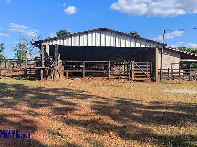 Fazenda para Venda em Palmeiras do Tocantins - 2