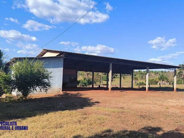 Fazenda para Venda em Palmeiras do Tocantins - 4
