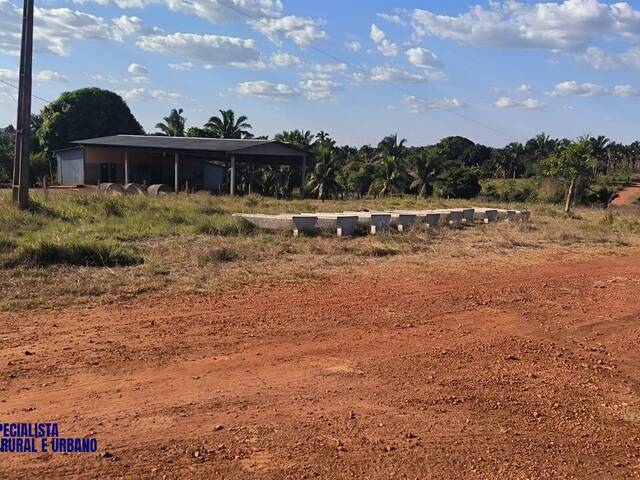 Fazenda para Venda em Palmeiras do Tocantins - 5