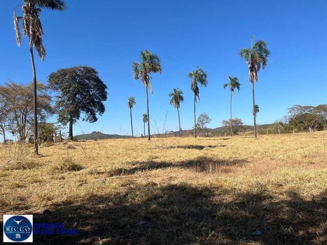 #4493 - Fazenda para Venda em Israelândia - GO