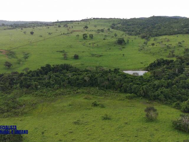 #4425 - Fazenda para Venda em Petrolina de Goiás - GO