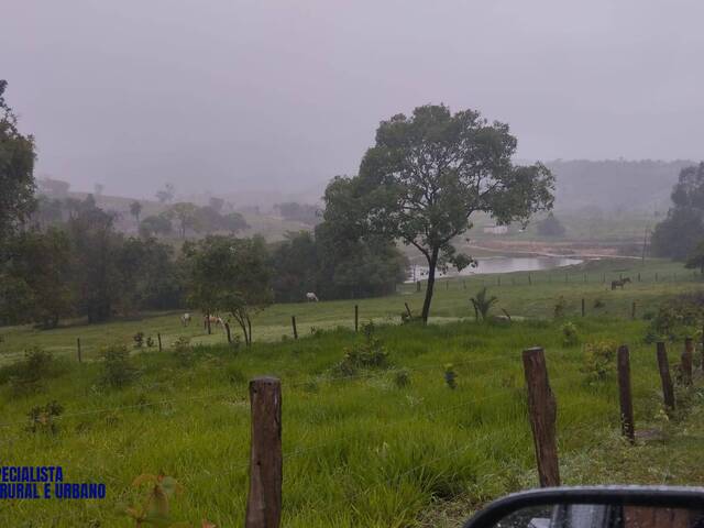 #4494 - Fazenda para Venda em Morro Agudo de Goiás - GO
