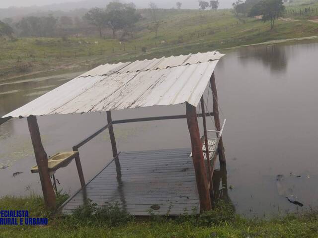 #4494 - Fazenda para Venda em Morro Agudo de Goiás - GO