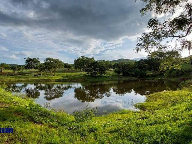 Chácara para Venda em Jandaia - 2