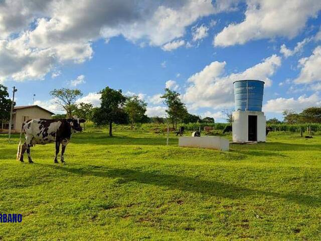 Chácara para Venda em Jandaia - 4
