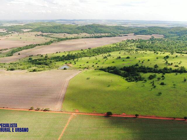 Fazenda para Venda em Palmeiras de Goiás - 2