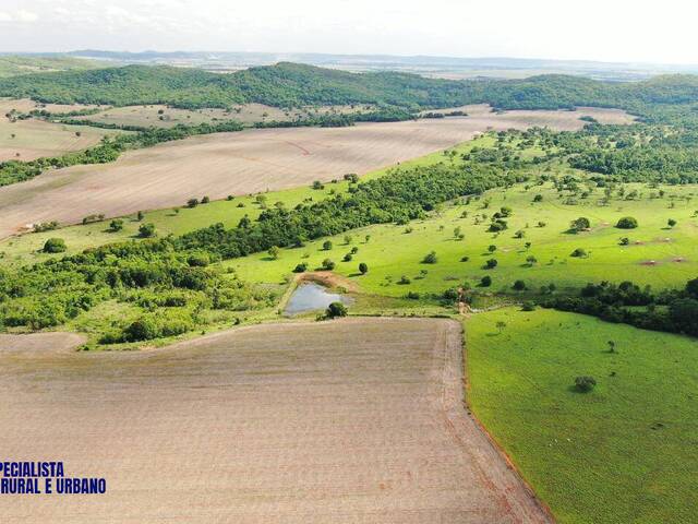 Fazenda para Venda em Palmeiras de Goiás - 4