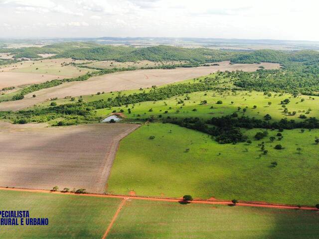 Fazenda para Venda em Palmeiras de Goiás - 3