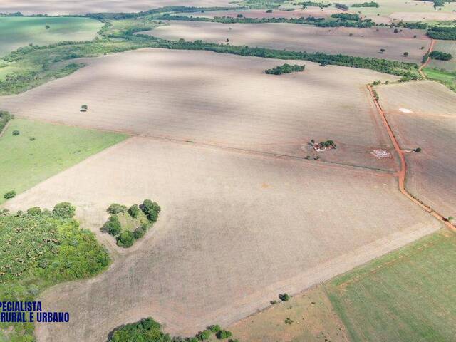 Fazenda para Venda em Palmeiras de Goiás - 5
