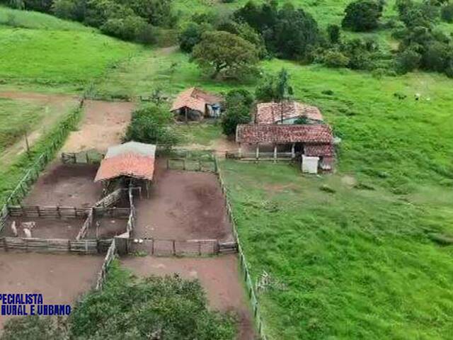 #4501 - Fazenda para Venda em Araguaçu - TO