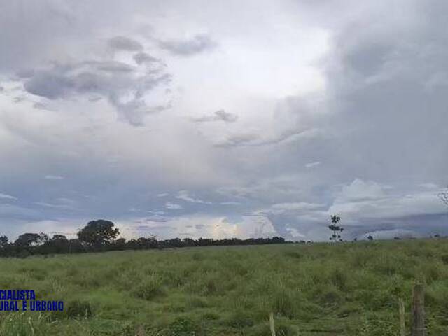 Fazenda para Venda em Araguaçu - 4
