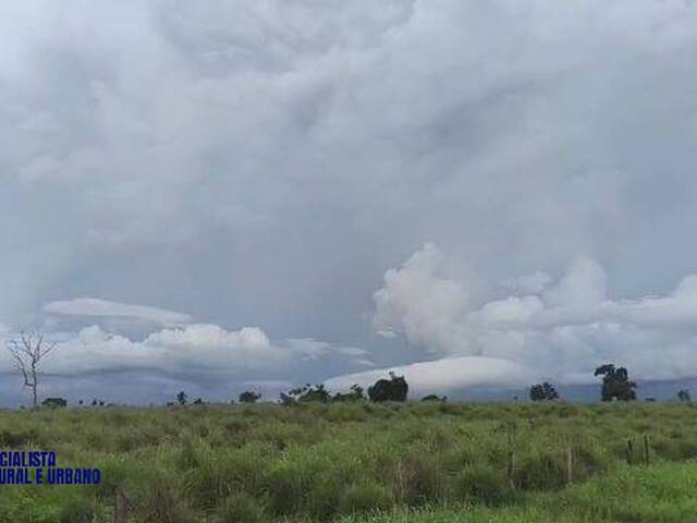 Fazenda para Venda em Araguaçu - 5