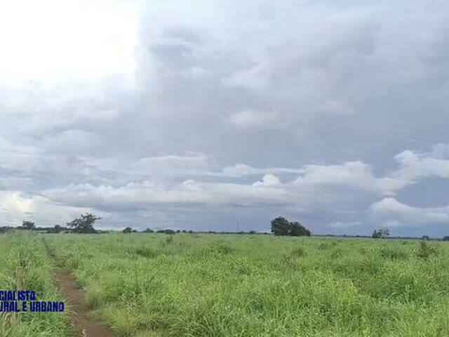 #4501 - Fazenda para Venda em Araguaçu - TO