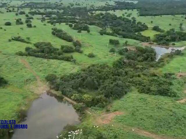 #4501 - Fazenda para Venda em Araguaçu - TO