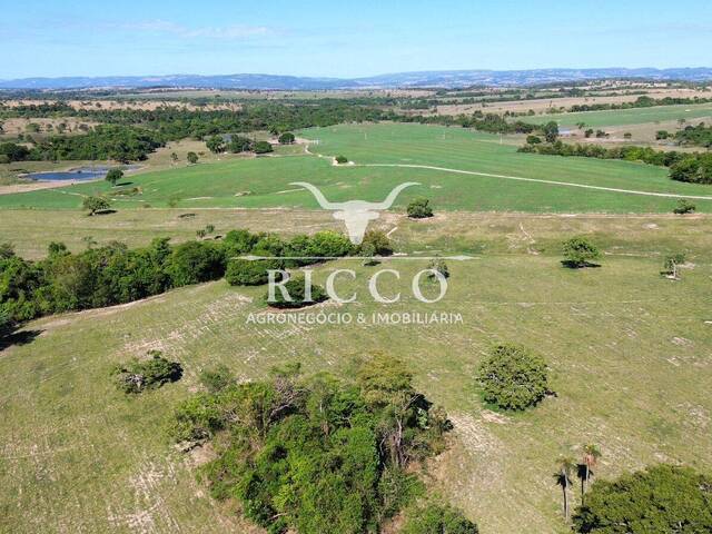 #4503 - Fazenda para Venda em Sanclerlândia - GO