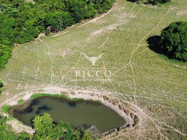 #4503 - Fazenda para Venda em Sanclerlândia - GO