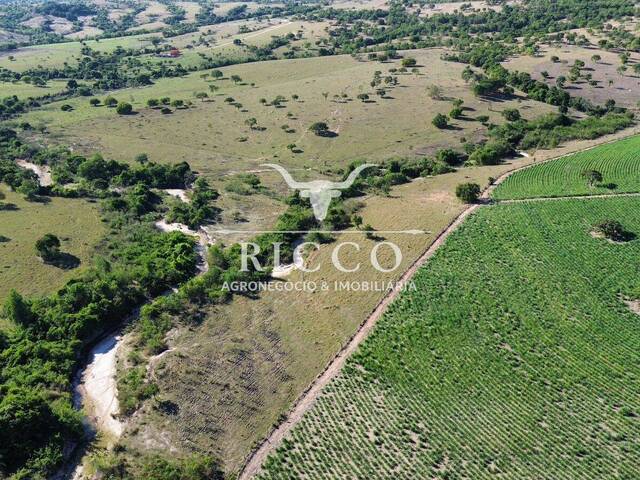 #4503 - Fazenda para Venda em Sanclerlândia - GO