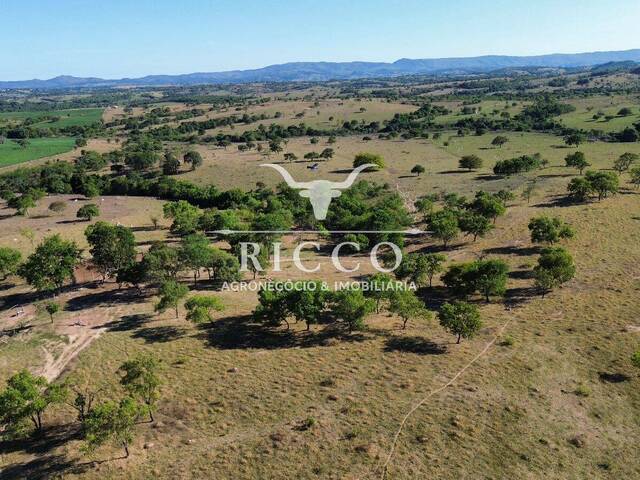 Fazenda para Venda em Sanclerlândia - 4