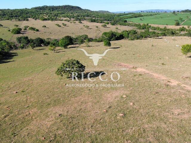 Fazenda para Venda em Sanclerlândia - 5