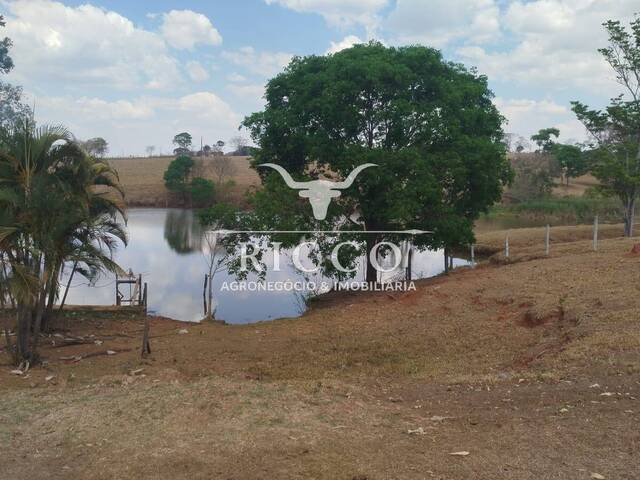 Chácara para Venda em Inhumas - 4
