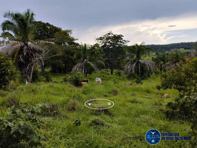 #1702 - Sítio para Venda em Iporá - GO