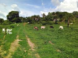 #1746 - Fazenda para Venda em Iporá - GO